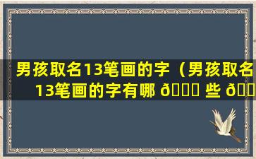 男孩取名13笔画的字（男孩取名13笔画的字有哪 💐 些 🐵 ）